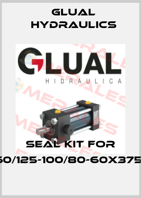 Seal kit for 160/125-100/80-60x3759 Glual Hydraulics