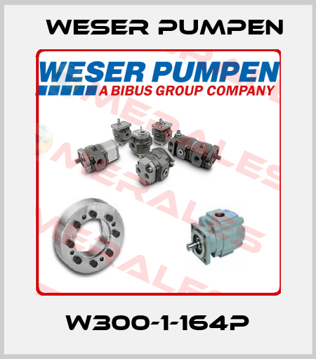 W300-1-164P Weser Pumpen