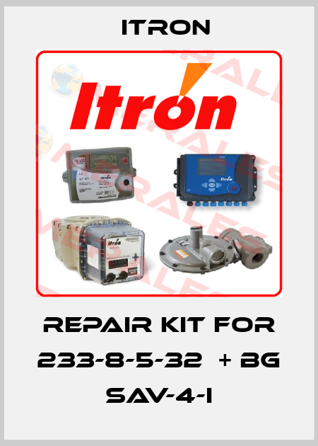 repair kit for 233-8-5-32  + BG SAV-4-I Itron