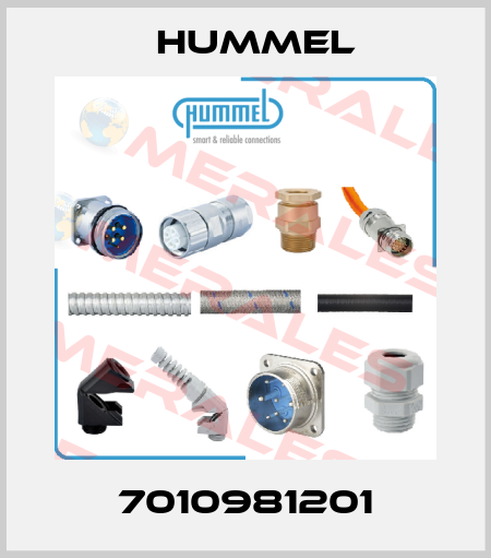 7010981201 Hummel