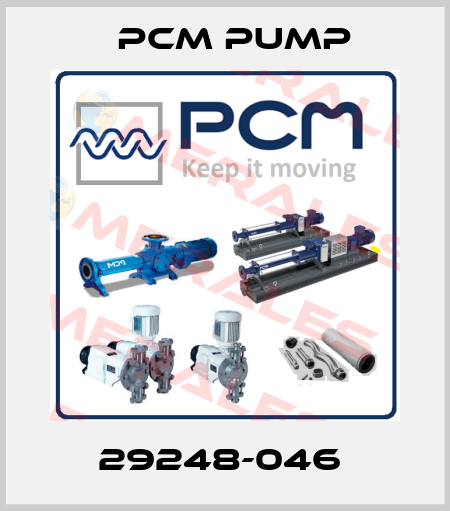 29248-046  PCM Pump