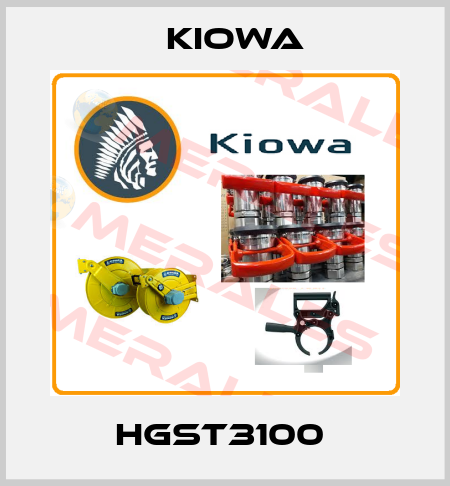 HGST3100  Kiowa