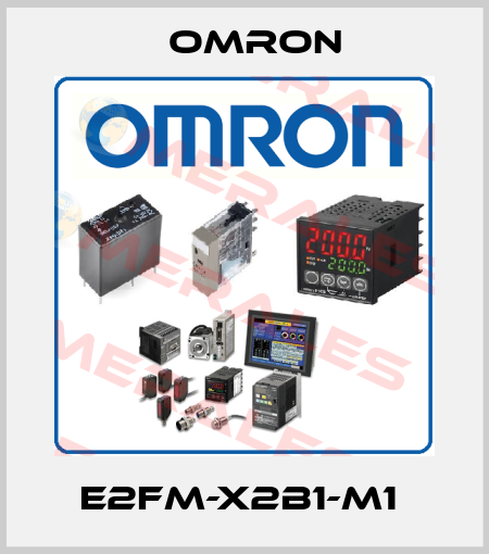 E2FM-X2B1-M1  Omron