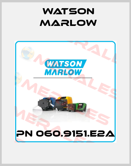 PN 060.9151.E2A Watson Marlow