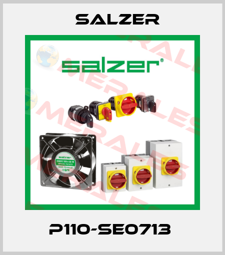 P110-SE0713  Salzer