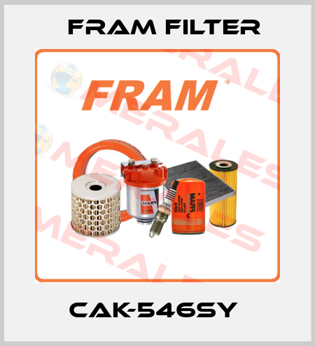CAK-546SY  FRAM filter