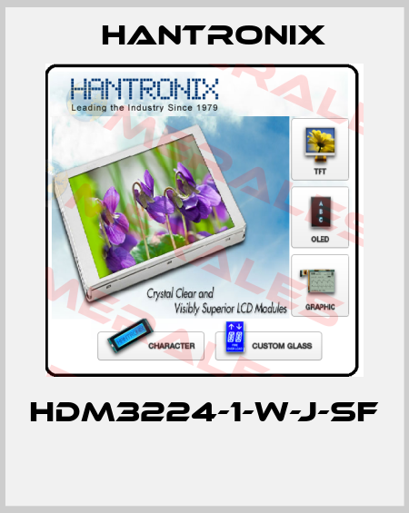 HDM3224-1-W-J-SF  Hantronix