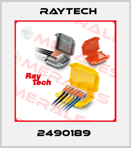 2490189  Raytech
