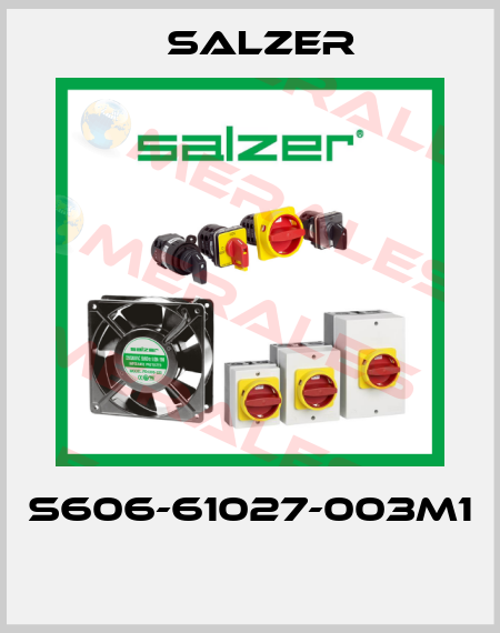 S606-61027-003M1  Salzer