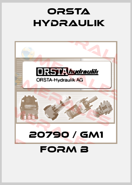 20790 / GM1 Form B  Orsta Hydraulik