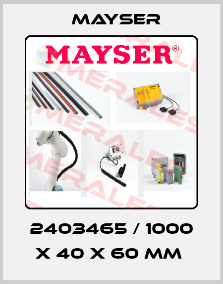 2403465 / 1000 x 40 x 60 mm  Mayser