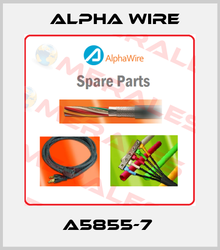 A5855-7  Alpha Wire