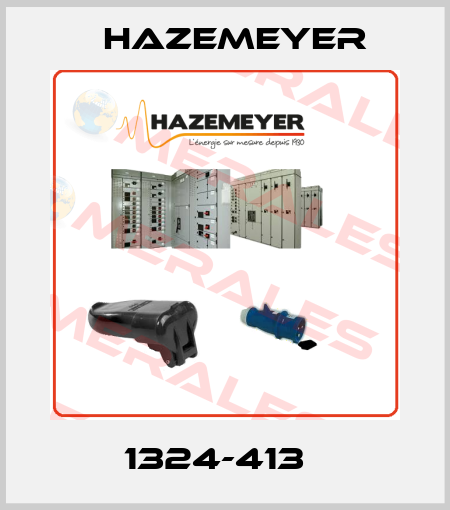 1324-413   Hazemeyer