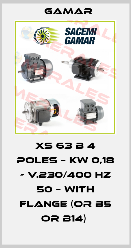 XS 63 B 4 poles – Kw 0,18 - V.230/400 Hz 50 – with flange (or B5 or B14)  Gamar