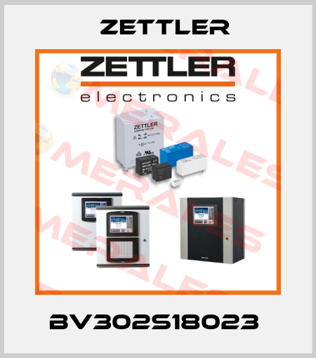 bv302s18023  Zettler