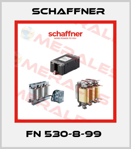 FN 530-8-99  Schaffner