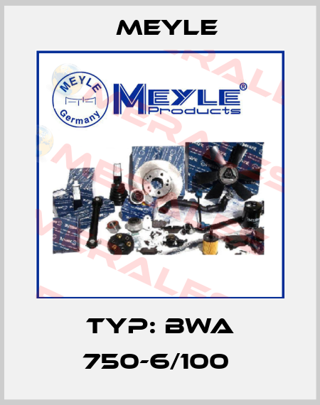 Typ: BWA 750-6/100  Meyle
