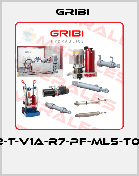 MC2-T-V1A-R7-PF-ML5-T02-F1  GRIBI