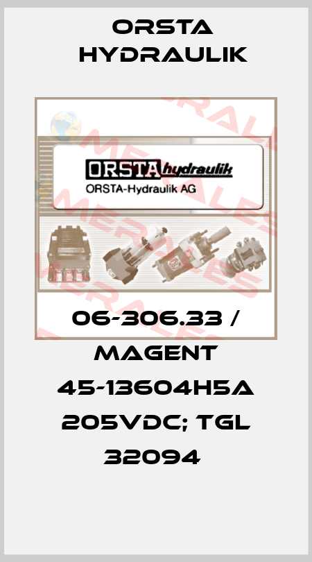 06-306.33 / Magent 45-13604H5A 205VDC; TGL 32094  Orsta Hydraulik