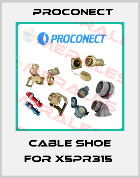CABLE SHOE FOR X5PR315  Proconect