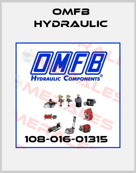 108-016-01315  OMFB Hydraulic