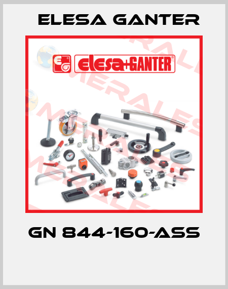GN 844-160-ASS  Elesa Ganter