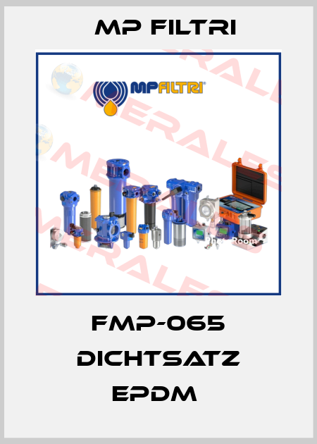 FMP-065 DICHTSATZ EPDM  MP Filtri