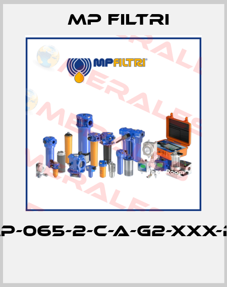 FMP-065-2-C-A-G2-XXX-P01  MP Filtri