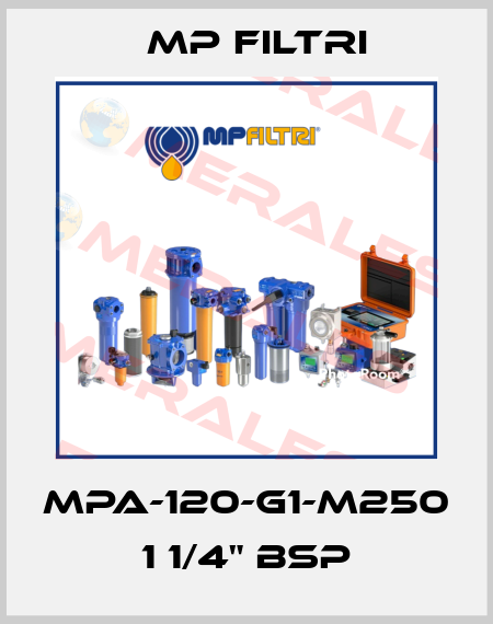 MPA-120-G1-M250   1 1/4" BSP MP Filtri