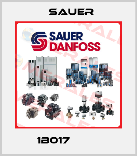 1B017          Sauer