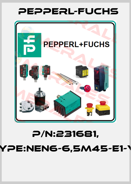 P/N:231681, Type:NEN6-6,5M45-E1-V1  Pepperl-Fuchs