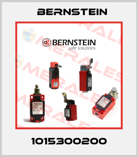 1015300200 Bernstein
