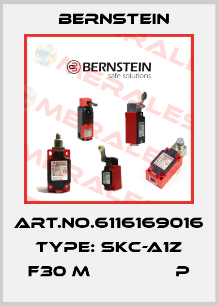 Art.No.6116169016 Type: SKC-A1Z F30 M                P Bernstein
