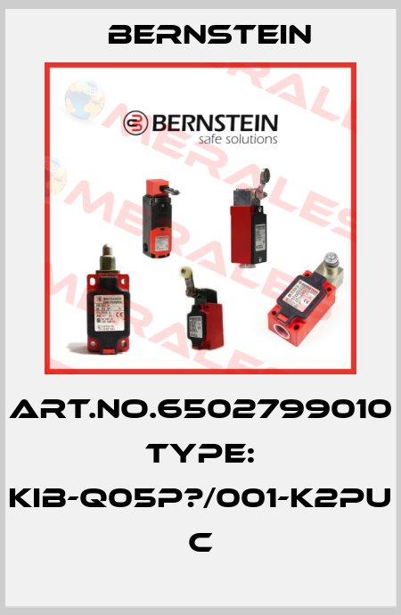 Art.No.6502799010 Type: KIB-Q05P?/001-K2PU           C Bernstein