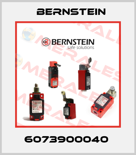 6073900040  Bernstein