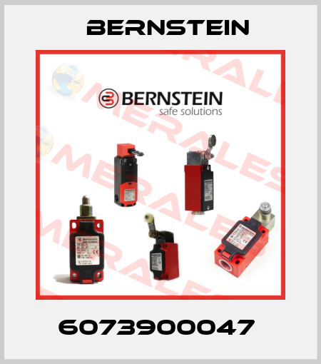 6073900047  Bernstein