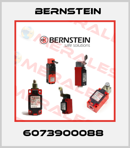 6073900088  Bernstein