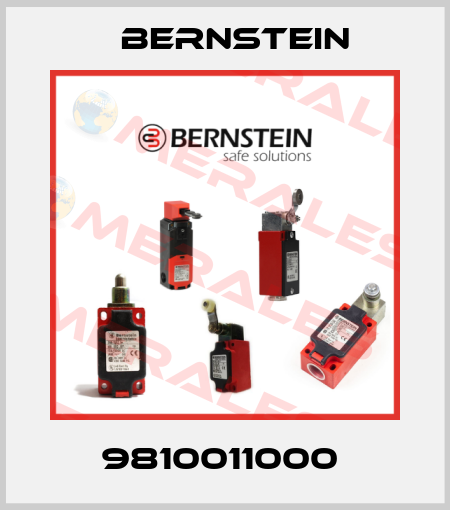 9810011000  Bernstein