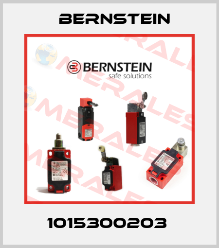 1015300203  Bernstein