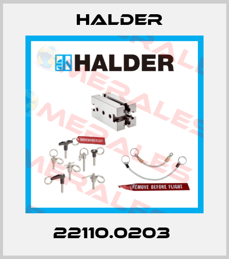22110.0203  Halder