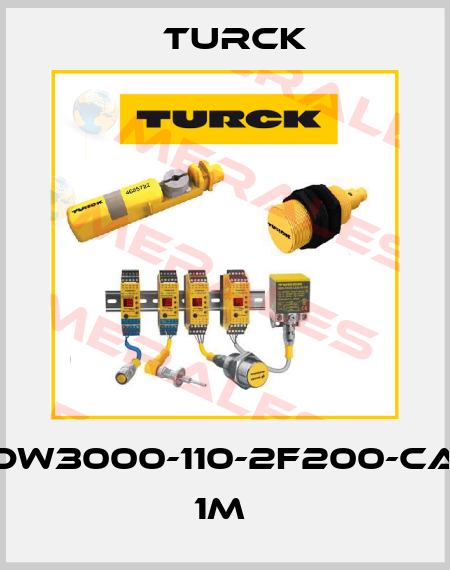 DW3000-110-2F200-CA 1M  Turck