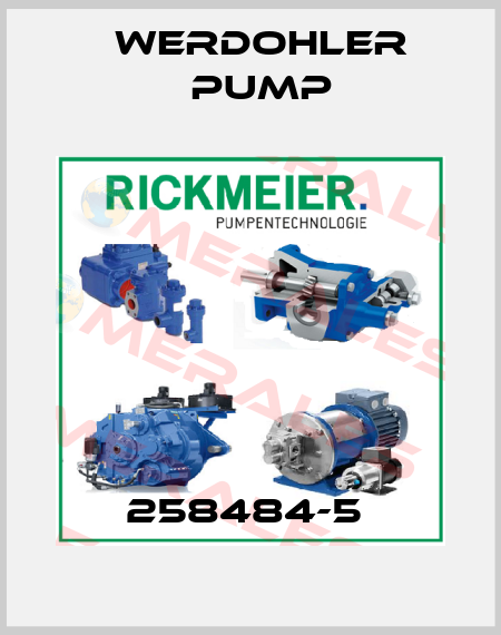 258484-5  Werdohler Pump