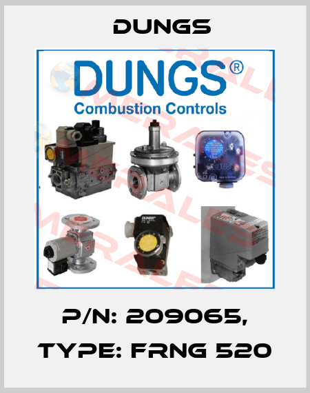 P/N: 209065, Type: FRNG 520 Dungs