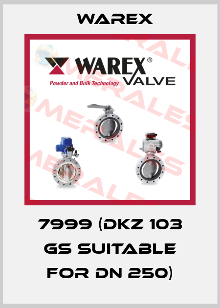 7999 (DKZ 103 GS suitable for DN 250) Warex
