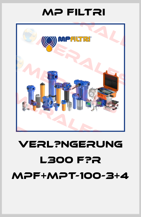 Verl?ngerung L300 f?r MPF+MPT-100-3+4  MP Filtri