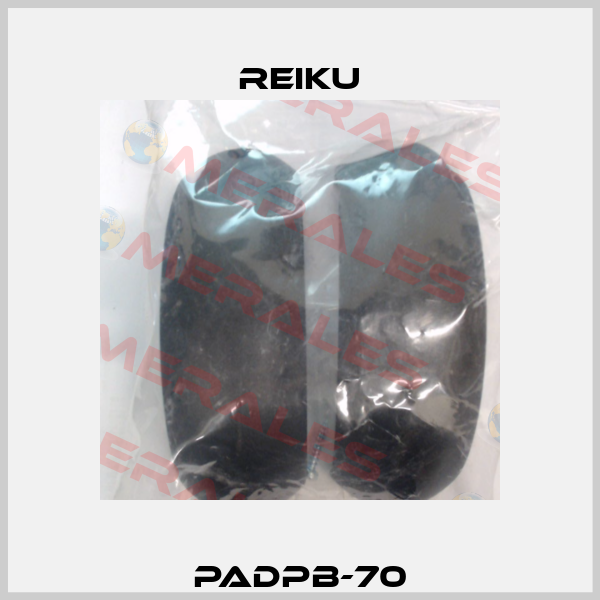 PADPB-70 REIKU