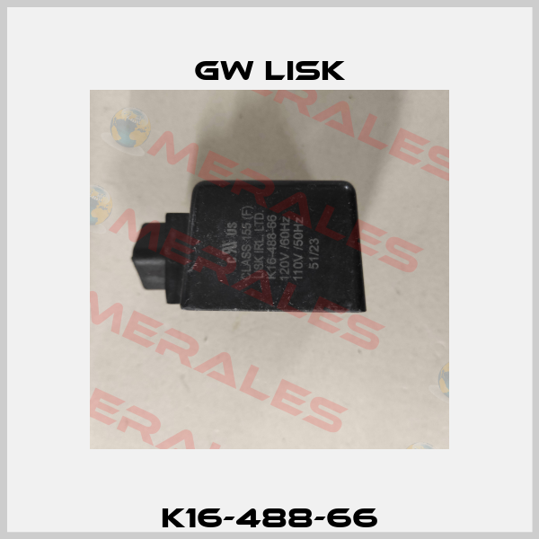 K16-488-66 Gw Lisk