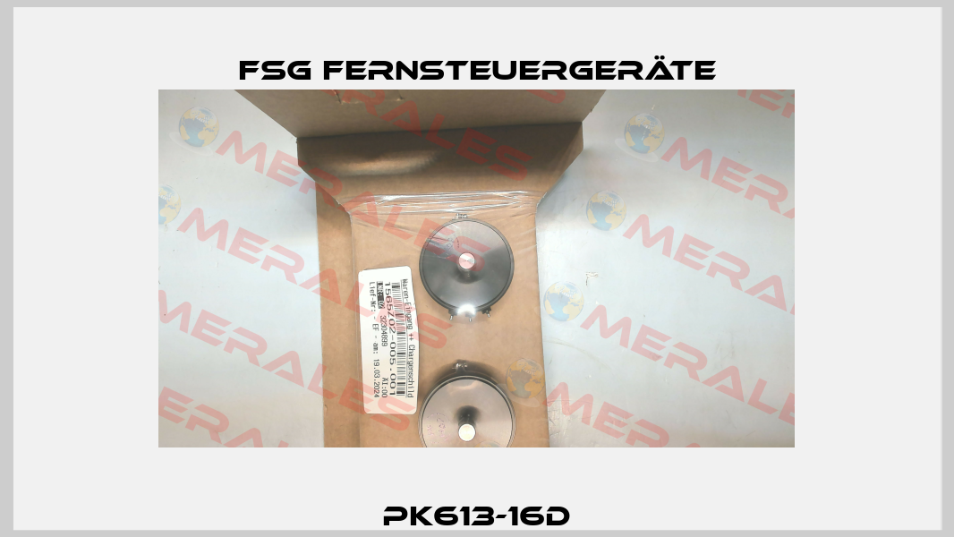 PK613-16d FSG Fernsteuergeräte