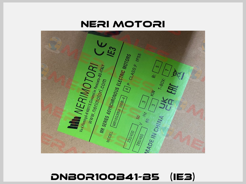 DNB0R100B41-B5   (IE3) Neri Motori