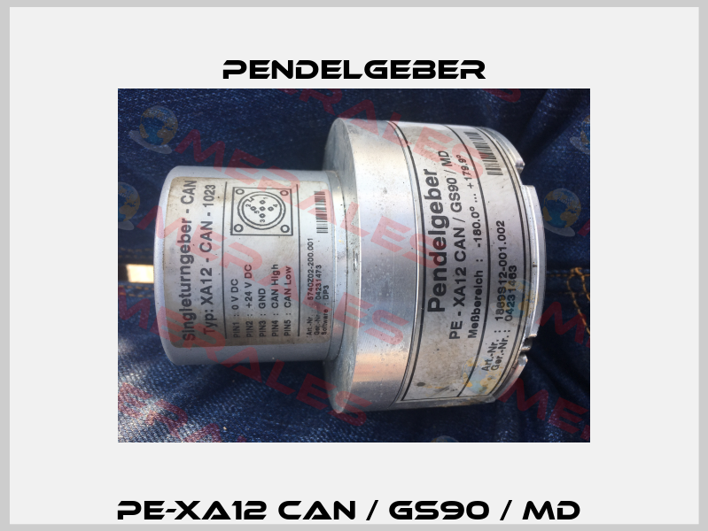 PE-XA12 CAN / GS90 / MD  Pendelgeber